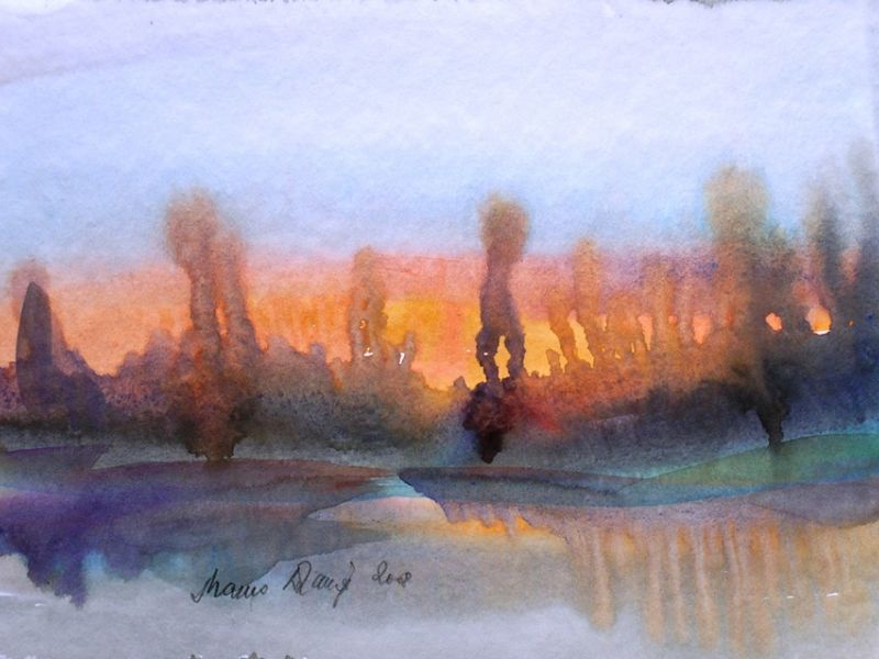 Landscape 850