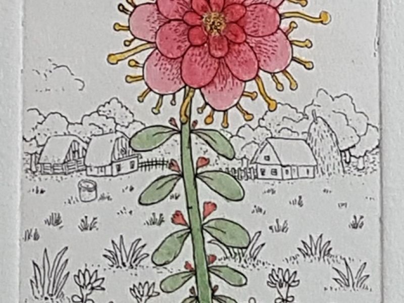 Flower in a field - red