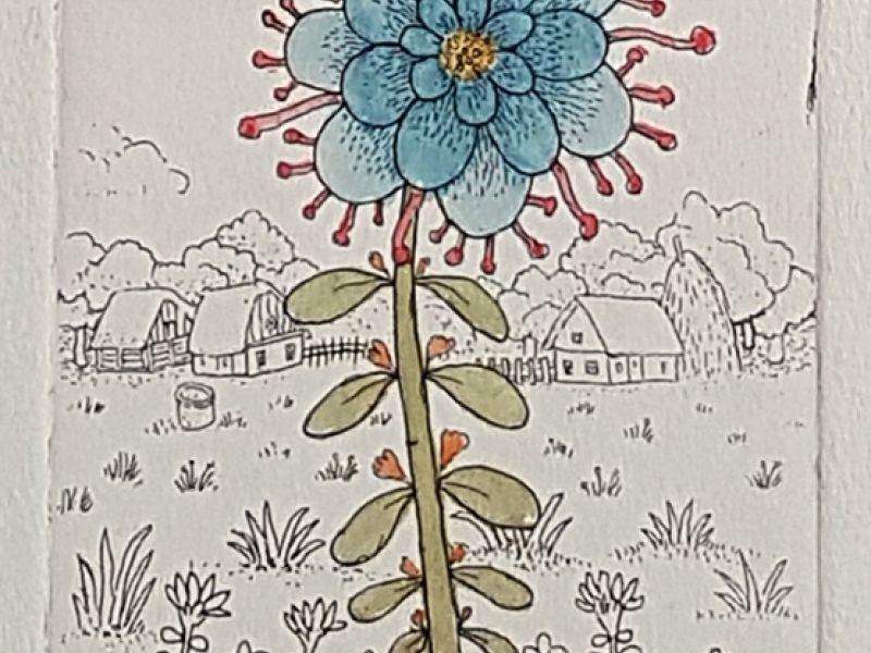 Flower in a field - blue