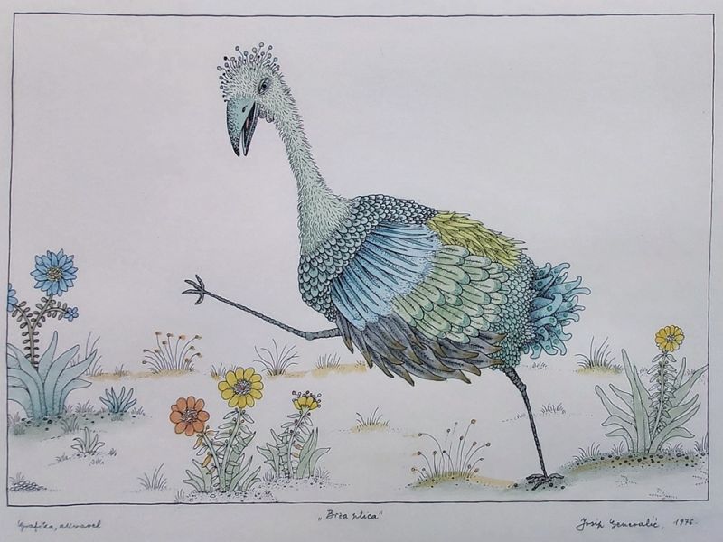 Fast bird I