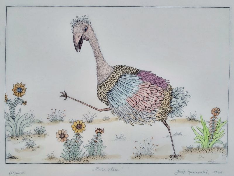 Fast bird II