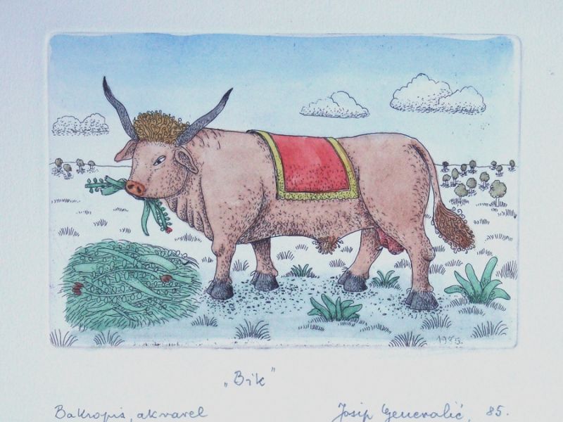 Bull