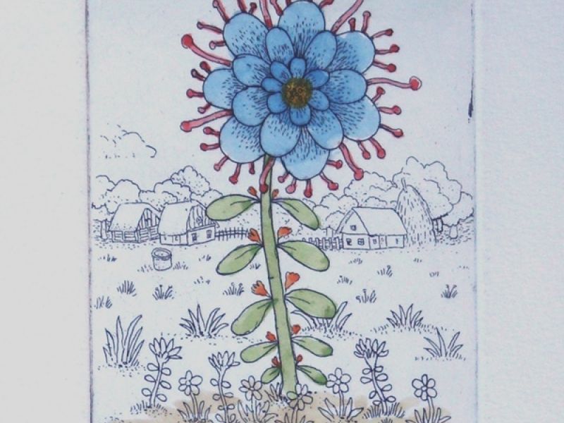 Flower in a Field