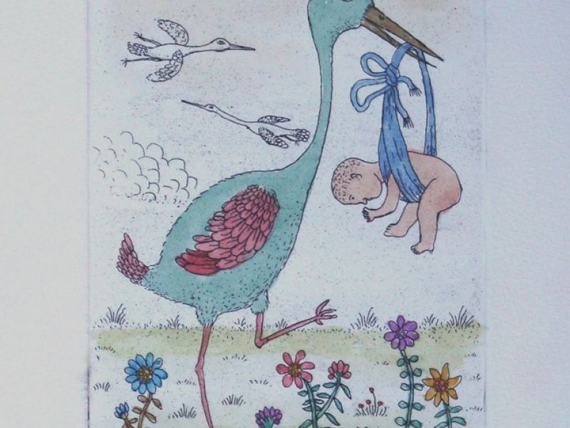 Stork M