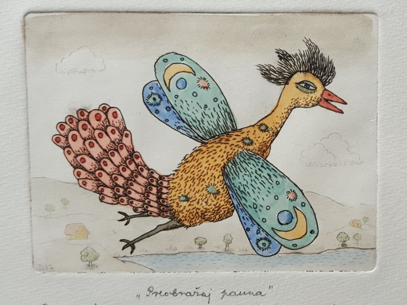 A peacock's metamorphosis