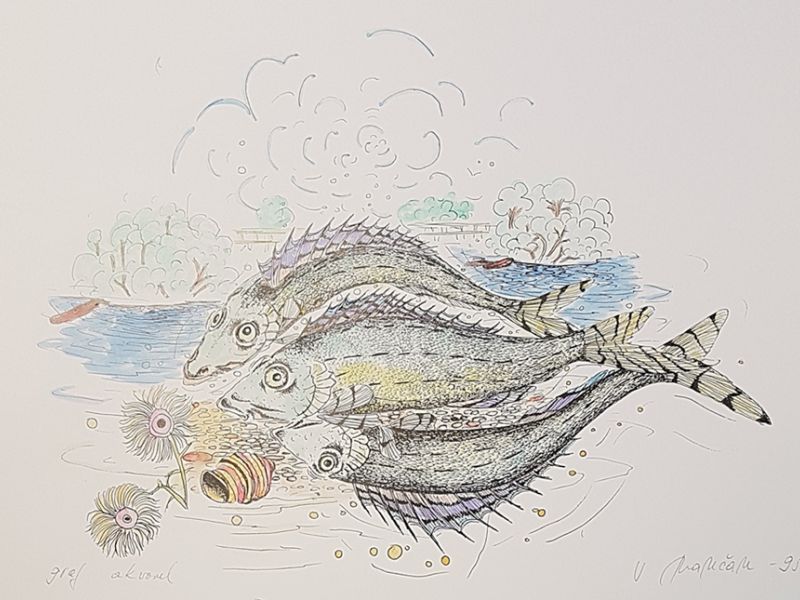 Fish X