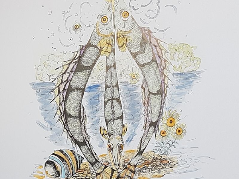 Fish XV