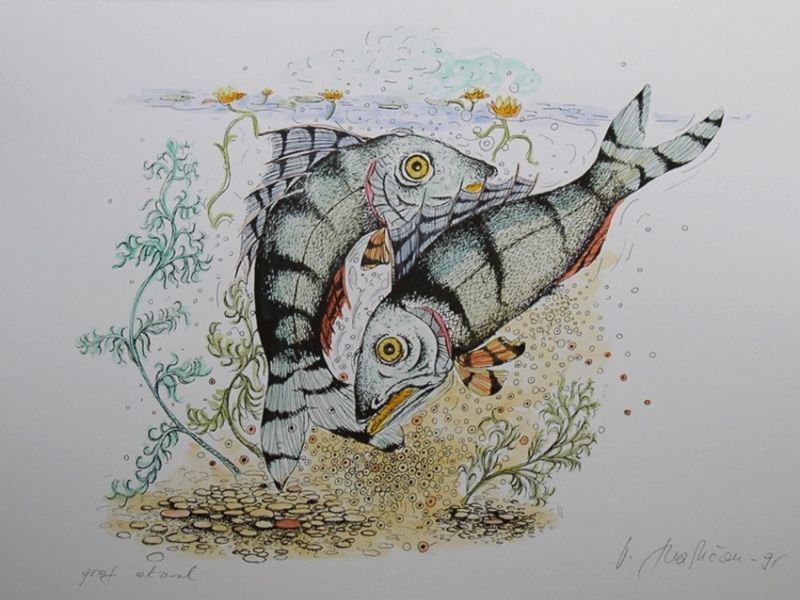 Fish II