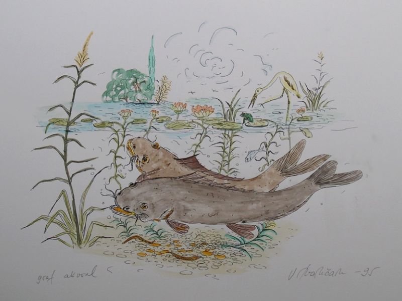 Fish IV