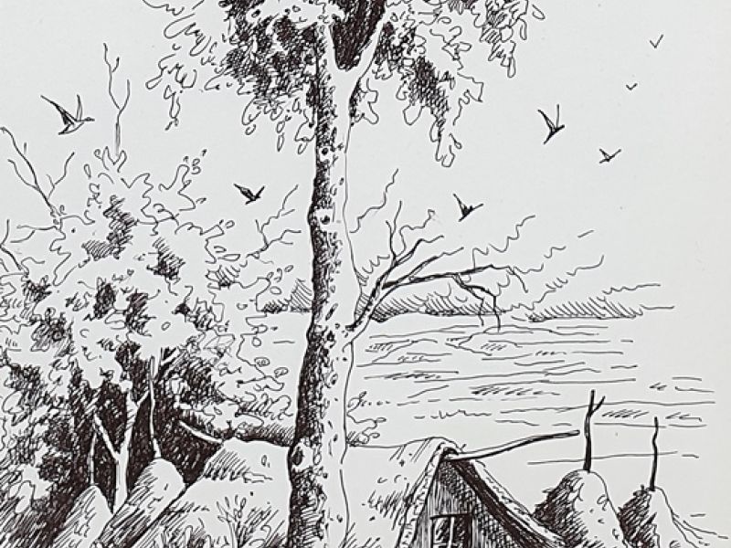 Tree in a village