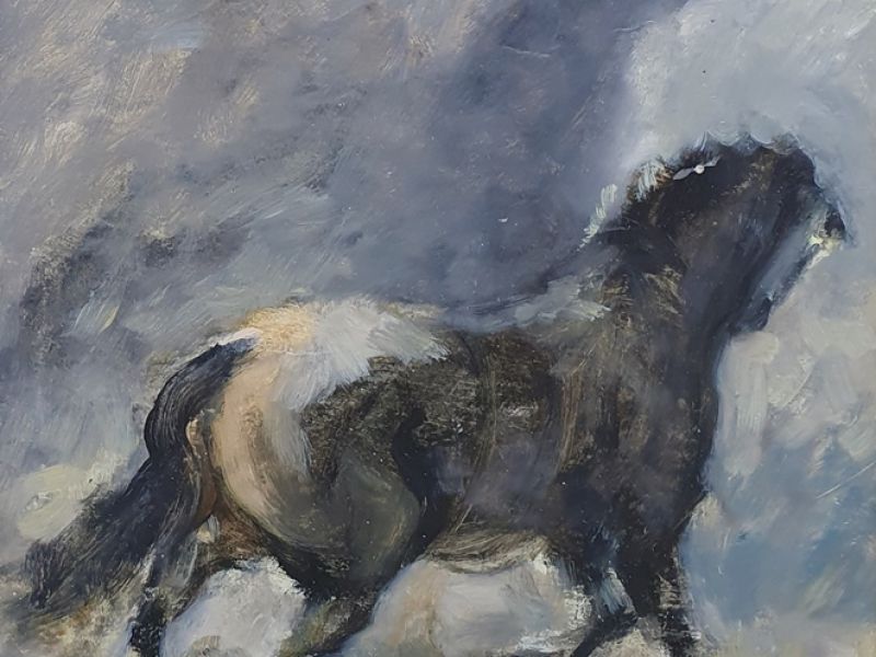 Horse