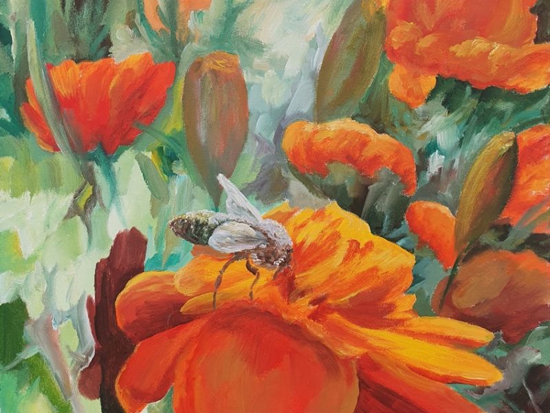 Bee on a flower 2129