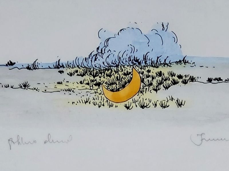 Moon XIX