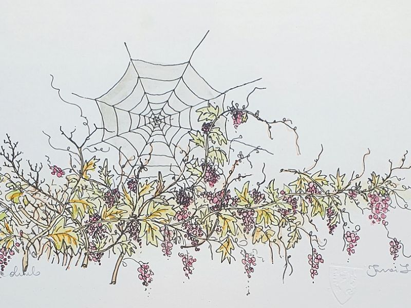 Webbed up vines III