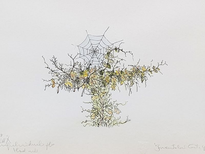 Vine II