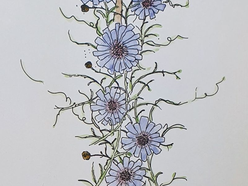 Flowers XII