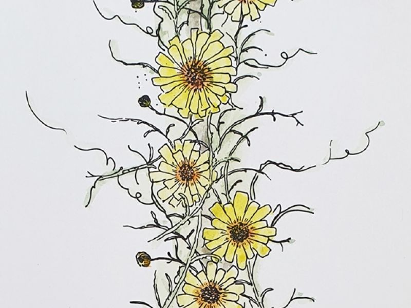 Flowers II