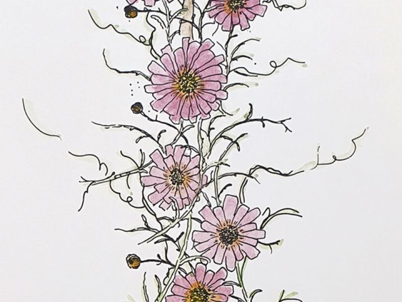 Flowers VI