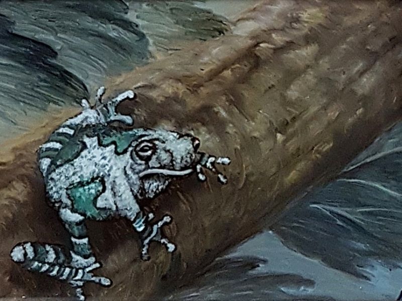 Frog