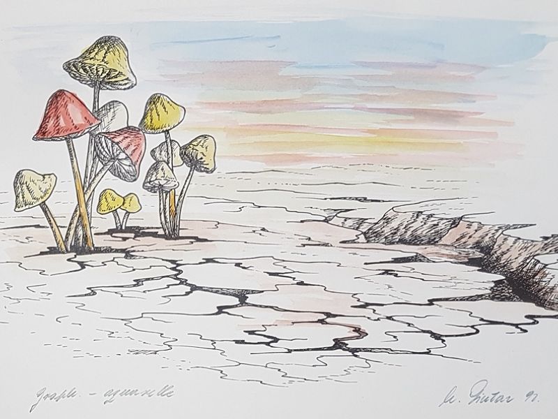 Mushrooms