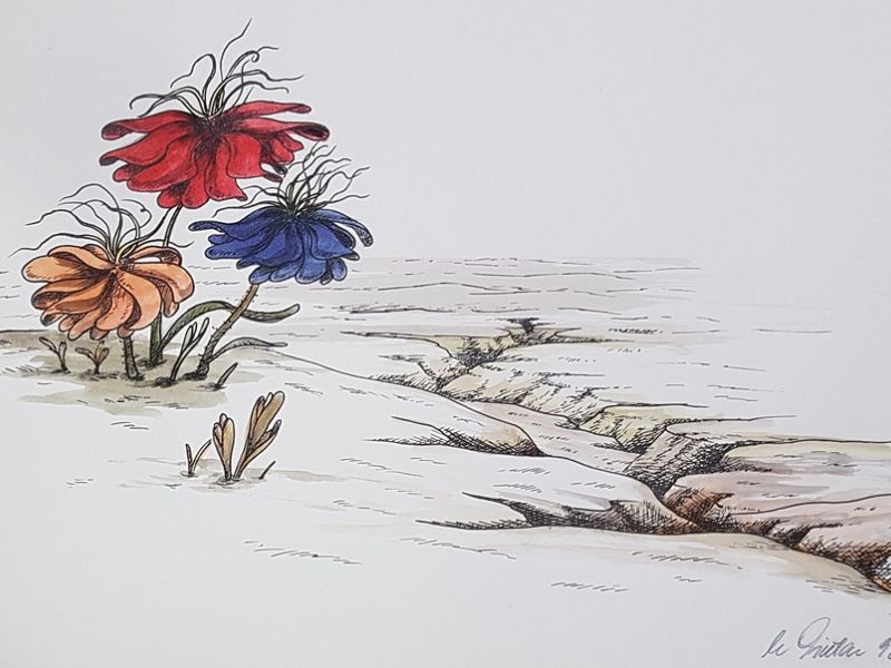 Field flowers