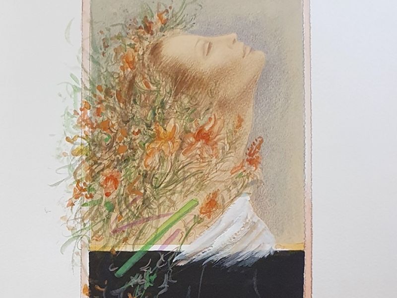 Flora MVCN