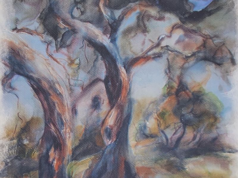 Between two olive trees