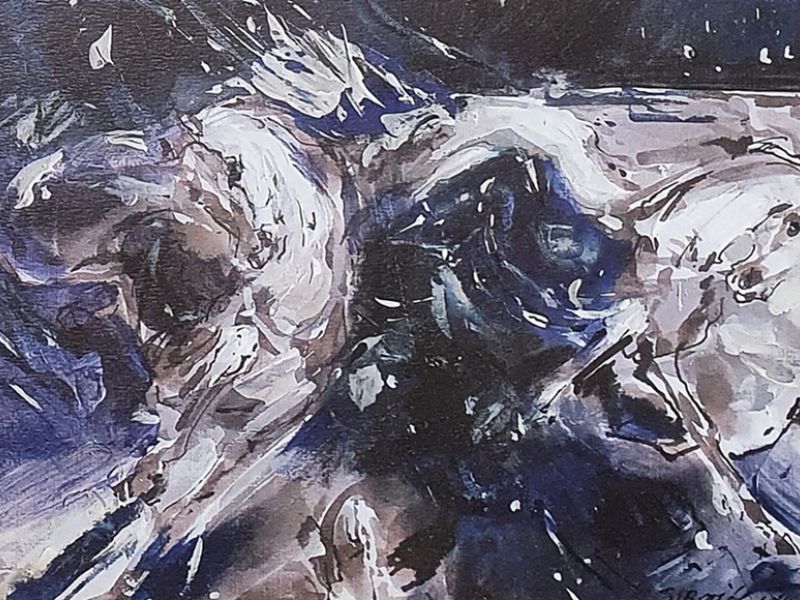 White horses