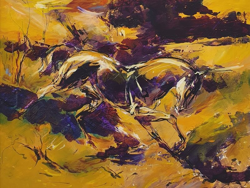 Horse 851