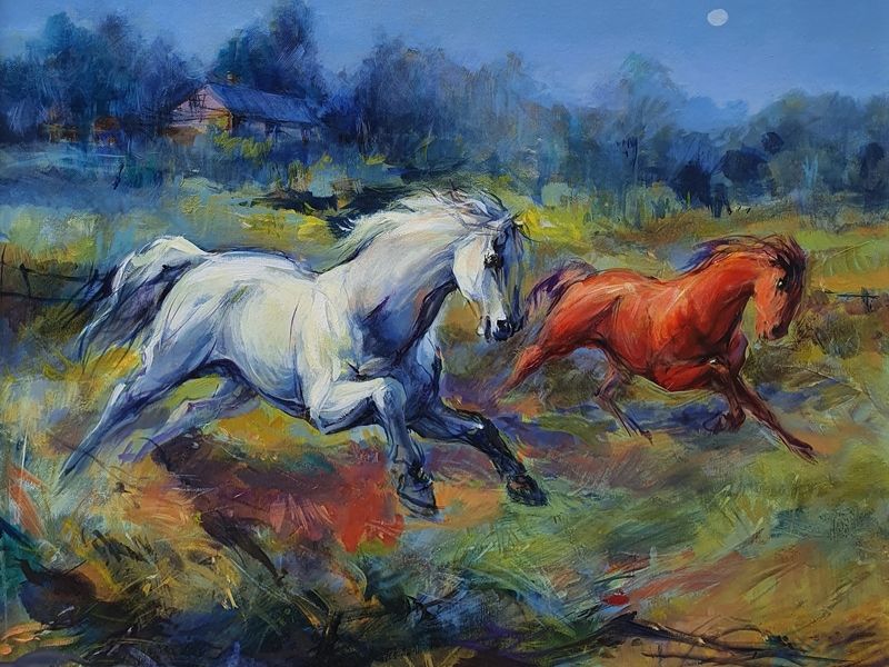 Horses 1152