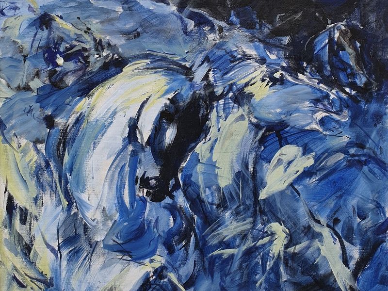 Horses 651