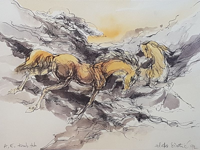 Horses