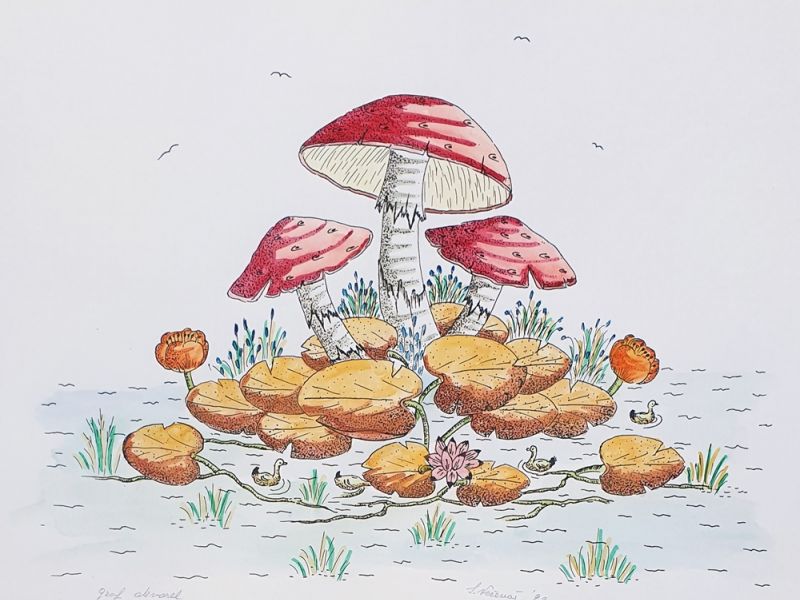 Mushrooms and ducks