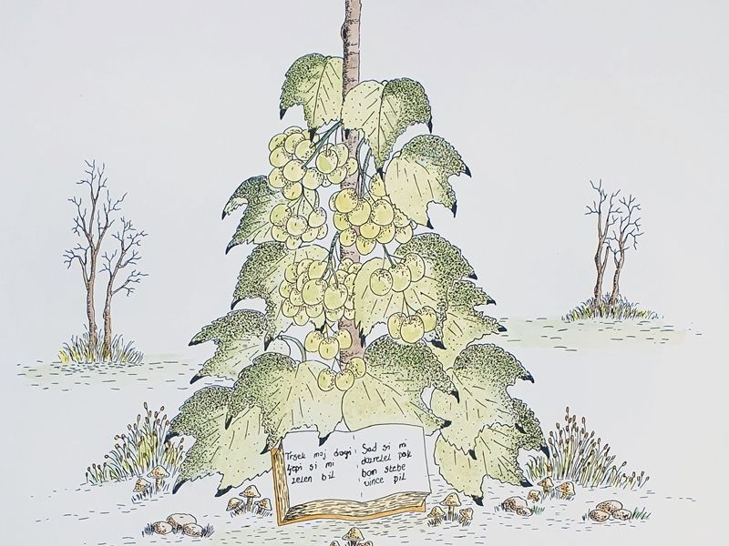 Vine I
