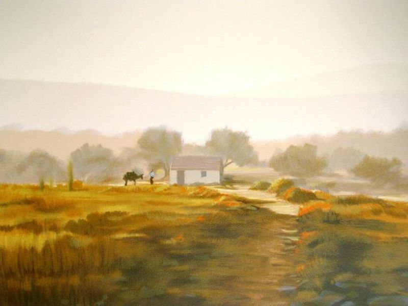 Field
