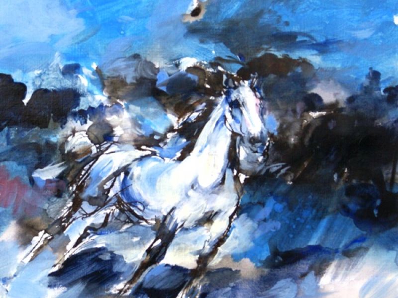 Horse 1306
