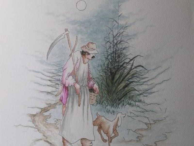 IX (bez okvira)