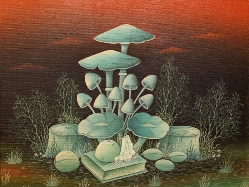 Mushrooms 620